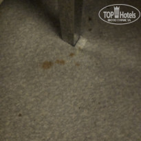 фото из отзыва ID 2145927