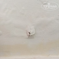 фото из отзыва ID 2145970