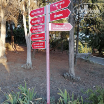 фото из отзыва ID 2145985