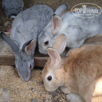 фото из отзыва ID 2146016