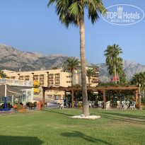 фото из отзыва ID 2146174