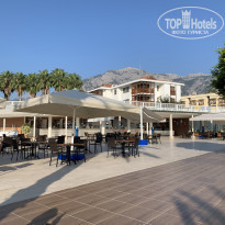 фото из отзыва ID 2146174