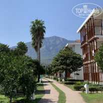 фото из отзыва ID 2146174