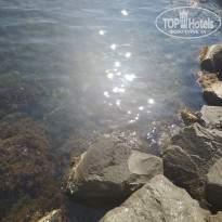 фото из отзыва ID 2146138