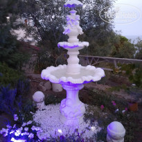 фото из отзыва ID 2146138