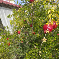 фото из отзыва ID 2146138