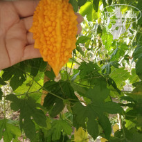 фото из отзыва ID 2146138