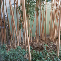 фото из отзыва ID 2146300