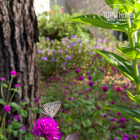 фото из отзыва ID 2146316