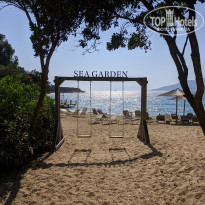 фото из отзыва ID 2146316