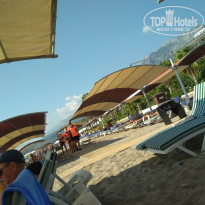 фото из отзыва ID 2146317