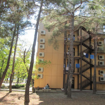 фото из отзыва ID 2146349