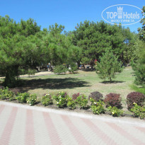 фото из отзыва ID 2146349