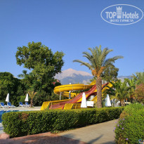 фото из отзыва ID 2146375