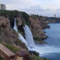 фото из отзыва ID 2146432