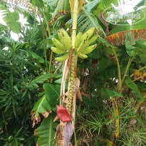 фото из отзыва ID 2144916