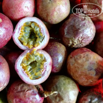 фото из отзыва ID 2146826