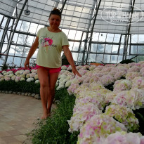 фото из отзыва ID 2146826