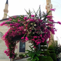 фото из отзыва ID 2146877