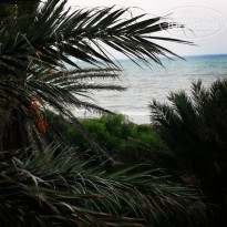 фото из отзыва ID 2146828