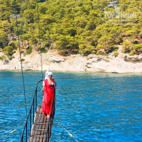 фото из отзыва ID 2146877