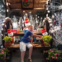 фото из отзыва ID 2146888