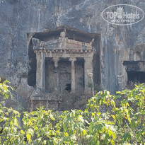 фото из отзыва ID 2146961