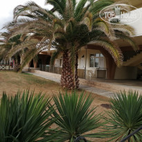 фото из отзыва ID 2146720