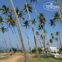 фото из отзыва ID 2147019