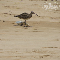 фото из отзыва ID 2147019