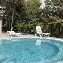 фото из отзыва ID 2147055