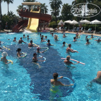 фото из отзыва ID 2147171