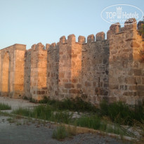 фото из отзыва ID 2147171