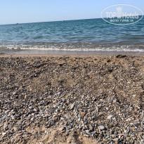 фото из отзыва ID 2147213