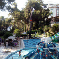 фото из отзыва ID 2144892