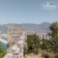 фото из отзыва ID 2144892