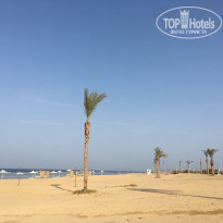 фото из отзыва ID 2147519