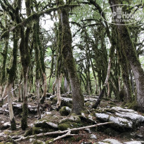 фото из отзыва ID 2147803