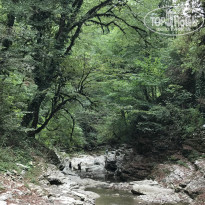 фото из отзыва ID 2147803