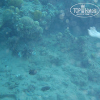 фото из отзыва ID 2147855