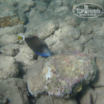 фото из отзыва ID 2147855