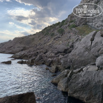 фото из отзыва ID 2147980