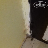 фото из отзыва ID 2148041