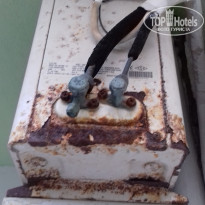 фото из отзыва ID 2148041