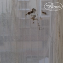 фото из отзыва ID 2148041