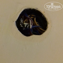 фото из отзыва ID 2148041