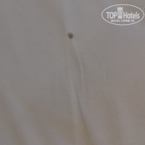 фото из отзыва ID 2148041