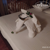 фото из отзыва ID 2148002