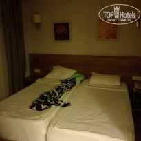 фото из отзыва ID 2148168