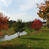 фото из отзыва ID 2148171